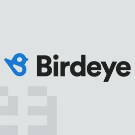 Birdeye 1